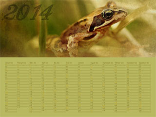 Kalenderposter Frosch 2014