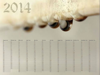 Kalenderposter Rostige Tropfen 2014